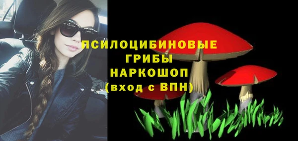 экстази Бородино