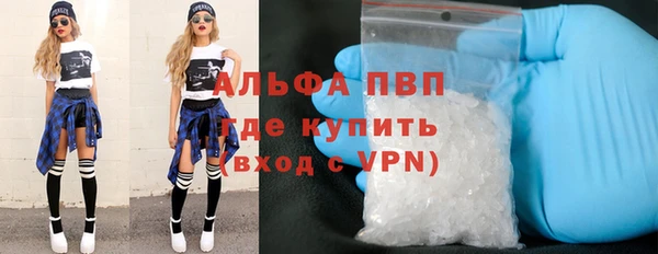 индика Балабаново