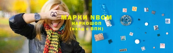 прущие грибы Беломорск