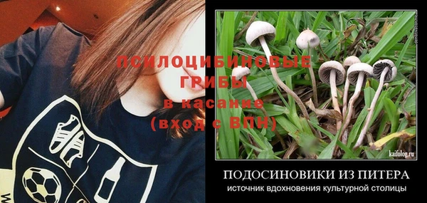 соль курить ск Нея