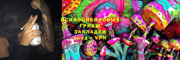 шишки Нефтекумск