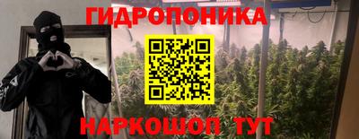трава Берёзовский