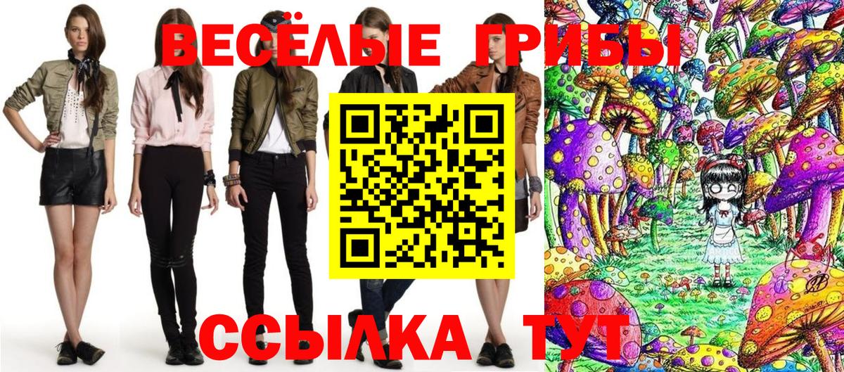 Галлюциногенные грибы MAGIC MUSHROOMS  Псилоцибиновые грибы Psilocybine cubensis  Крымск  закладки  Вход с VPN 